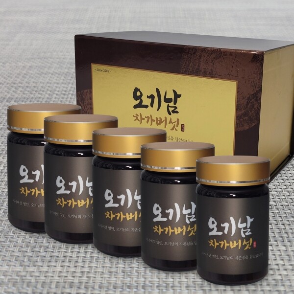 오기남차가버섯,오기남 프리미엄 차가버섯추출분말 500g